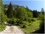 Tinčkova koča - Srednji vrh (above Završnica)